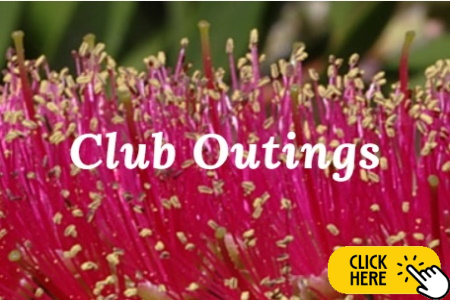 Club-outings